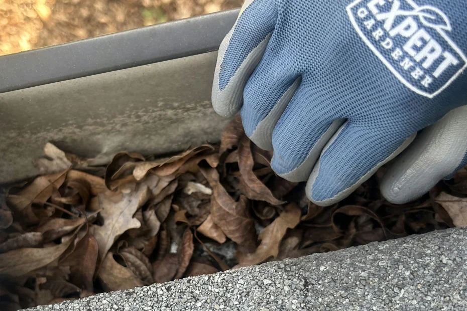 Summit Gutter Cleaning