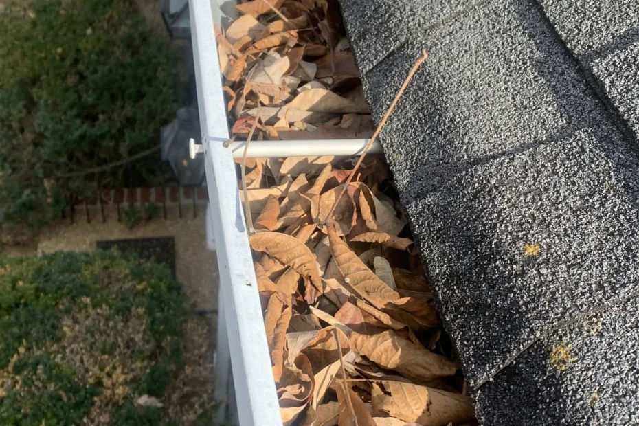 Summit Gutter Cleaning